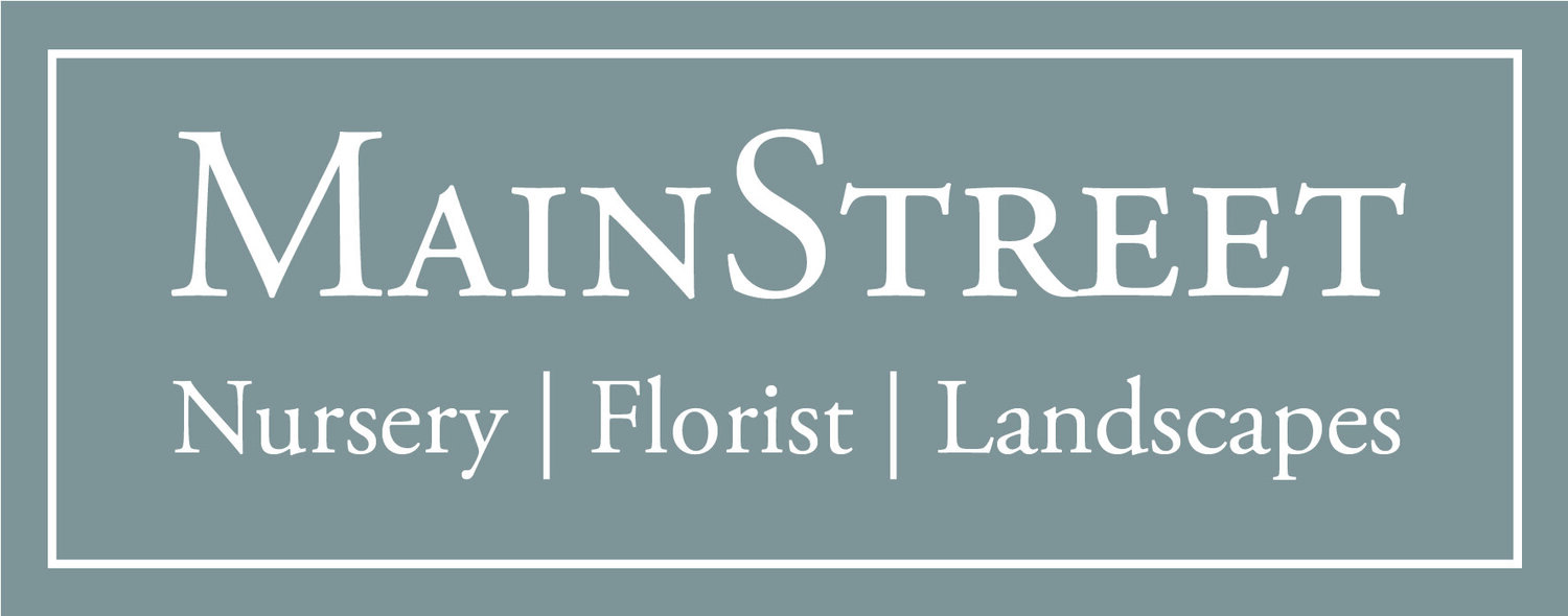 Main Street Nursery Logo
