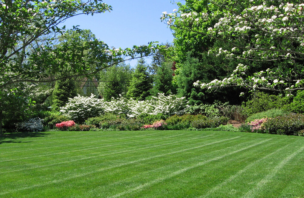 lawn005