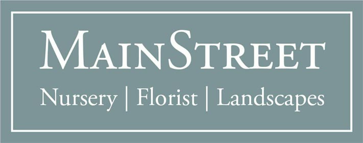 Main Street Nursery Logo