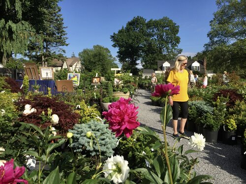 Art_in_the_Garden_8