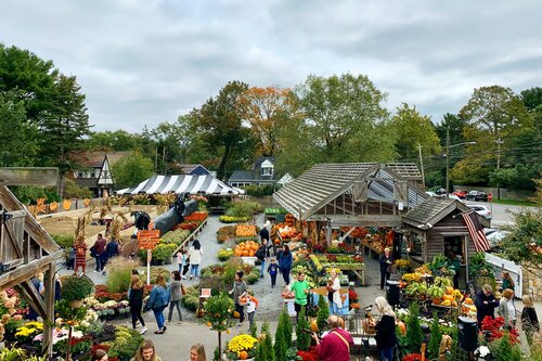 Fall_Festival_in_October_6