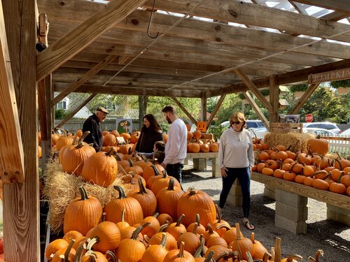 Fall_Festival_in_October_8