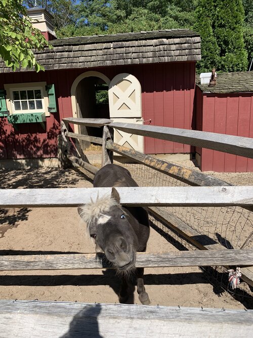 The_Farm_on_Main_Street_4